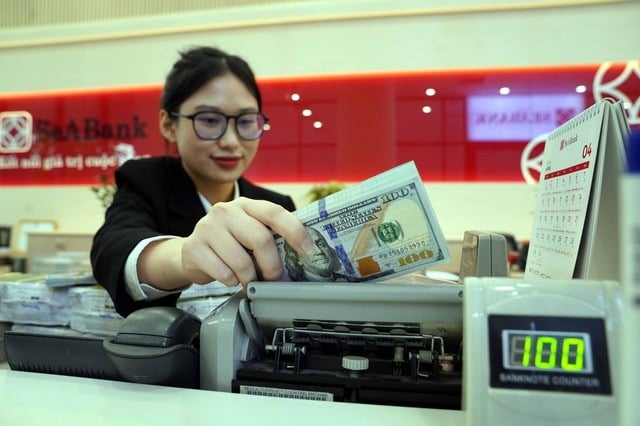 A clerk counts U.S. dollar bank notes at SeABank. Photo courtesy of Thanh Nien (Young People) newspaper.