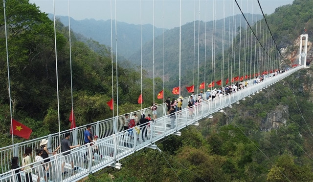 Tourists cross Bach Long Glass Bridge in the Moc Chau National Tourism Area. Photo courtesy of Vietnam News Agency.