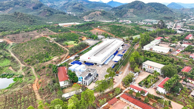 Phuc Sinh Son La Coffee Factory was built on more than two hectares in Chieng Mung commune, Mai Son district, Son La province. Photo courtesy of Phuc Sinh.