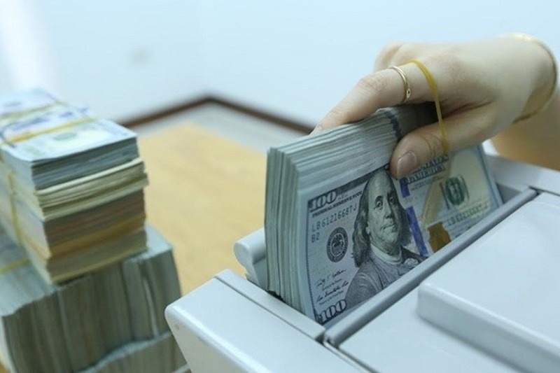  The Vietnamese central bank has sold USD to meet commercial banks' demand. Photo courtesy of Vietnam News Agency.