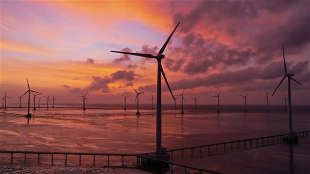 A wind farm in Bac Lieu province, southern Vietnam. Photo by Vietnam News Agency.
