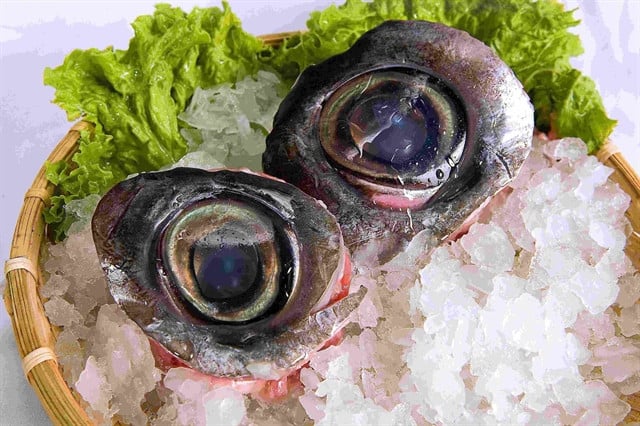  Tuna' eyeballs can be very big. Photo courtesy of cungdi.net.