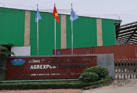 Outside the factory of Agrexport in District 3, HCMC. Photo courtesy of the company.