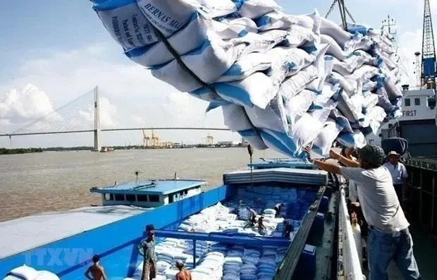 Rice exports to set record turnover of $5 billion in 2024. Photo by Vietnam News Agency.