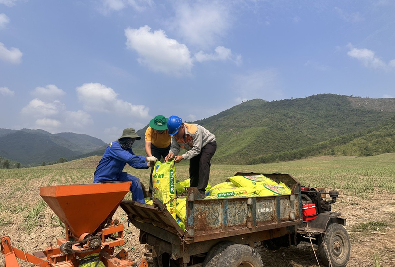 Sugarcane fields using Phu My fertilizers under the instructions of scientists and technical staff. Photo courtesy of PVFCCo.