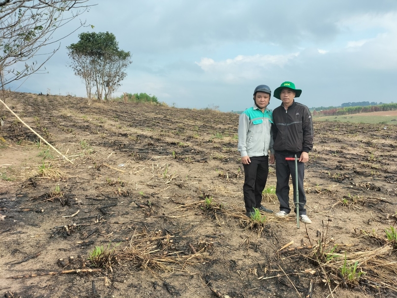 Scientists take samples to analyze the initial arid soil in the sugarcane growing area. Photo courtesy of PVFCCo.