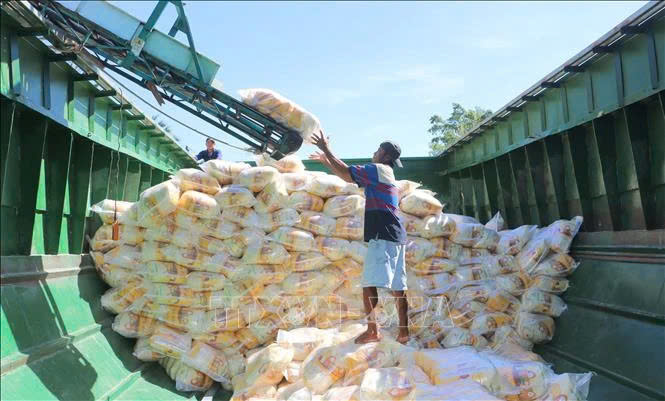 Workers package rice for export at Thoai Son Food Co.Ltd, a member of Loc Troi Group Joint Stock Company. Photo courtesy of Vietnam News Agency.