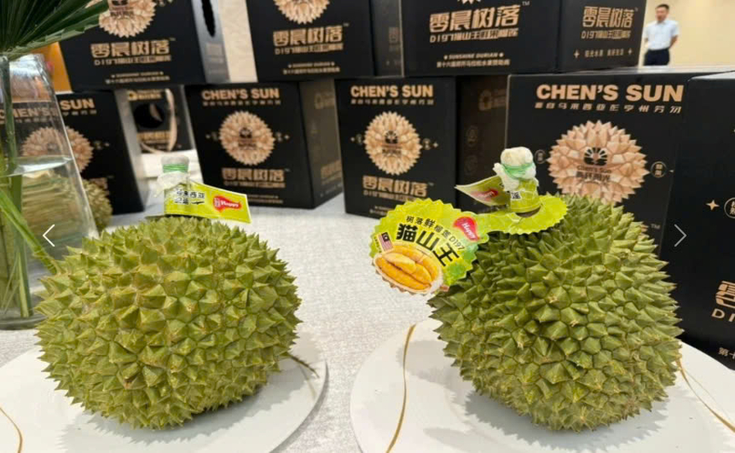 Malaysia’s export value of durians is expected to rise to RM1.8 billion (more than $400 million) by 2030. Photo courtesy of Vietnam News Agency.