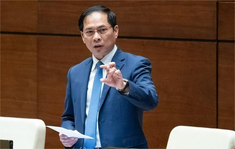 Deputy Prime Minister Bui Thanh Son. Photo courtesy of the National Assembly's news portal.