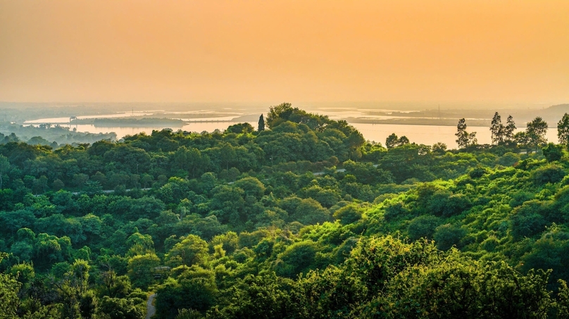 BCG Eco is specialized in afforestation, forest care and forest tree nursery. Photo courtesy of VietNamNet.