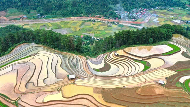  An aerial view of Mù Cang Chải terraced fields in Yên Bái Province, before the storm struck northern Việt Nam. Photo courtesy of Vietnam News Agency.