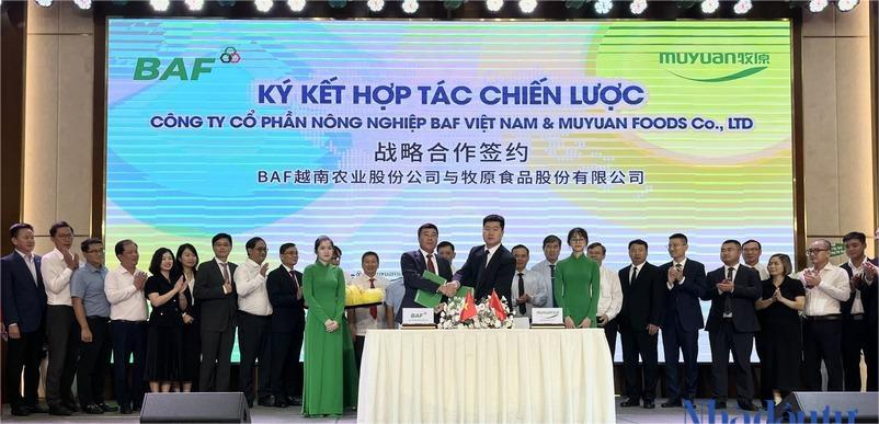 BAF Vietnam Agricultural JSC and Muyuan Foods Co., Ltd., sign an agreement on technology transfer and application of AI in livestock farming, Ho Chi Minh City, September 16, 2024. Photo by Lien Thuong/The Investor.