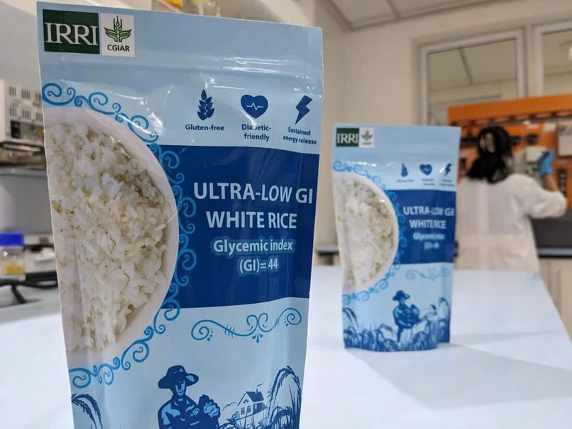  New anti-diabetes rice variety unveiled. Photo courtesy of irri.org.