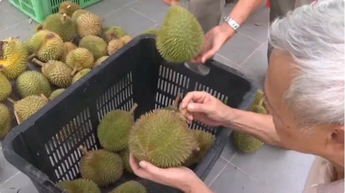  A customer in Malaysia examines durians. Photo courtesy of CNA.