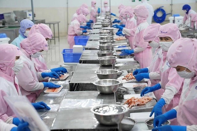 A shrimp processing plant in Vietnam. Photo courtesy of Thanh Nien (Young People) newspaper.