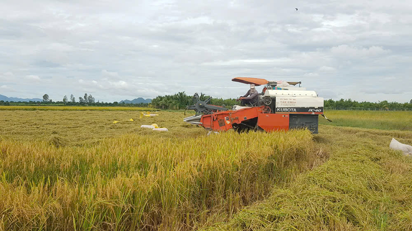  Rice is the main business of Loc Troi Group based in the Mekong Delta province of An Giang. Photo courtesy of the group.