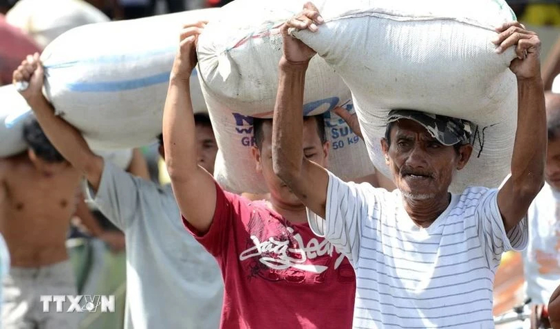  The Philippines is expected to import more rice in 2024 and the next year. Photo courtesy of AFP/VNA.