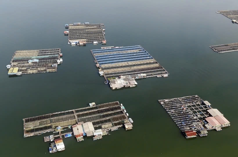  All of the sea-based fish farms currently in operation in Singapore are located in the Johor Strait. Photo courtesy of The Straits Times