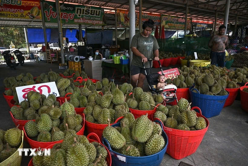  Durians for sale in Chanthaburi province, Thailand. Photo courtesy of AFP/VNA.