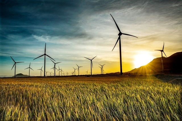 A 152-MW wind farm of Trung Nam Group in Ninh Thuan province, south-central Vietnam. Photo courtesy of Trung Nam Group.