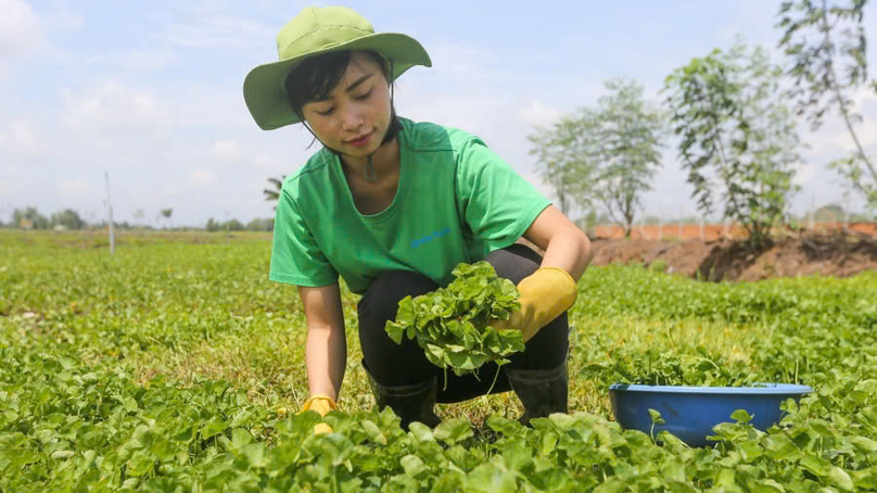 Nguyen Ngoc Huong, founder of Thien Nhien Viet Co., Ltd. Photo courtesy of the company.