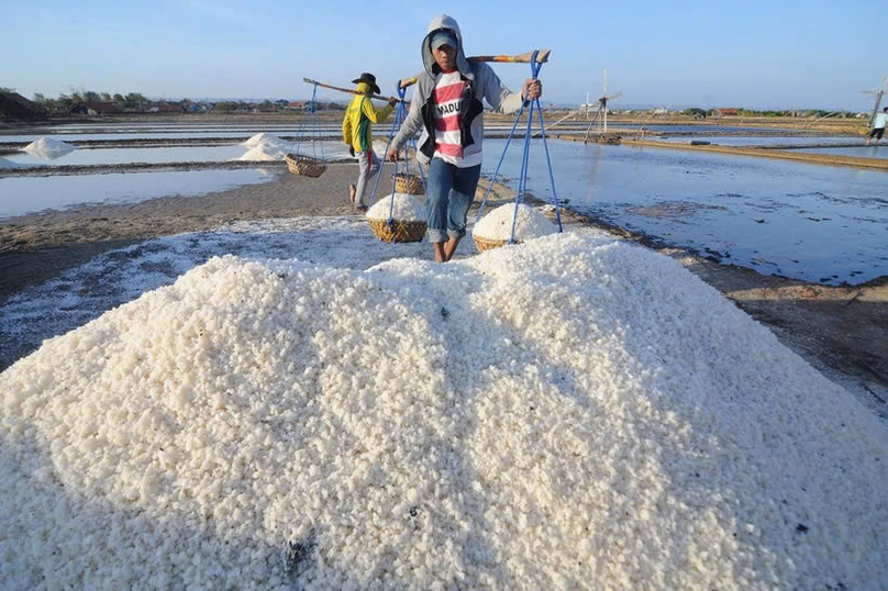 In a salt field. Photo courtesy of Jakarta Post.