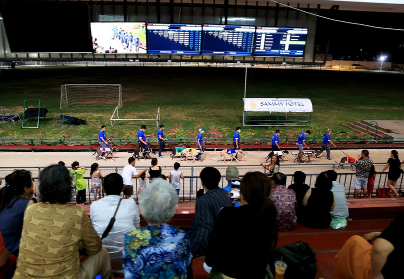 Greyhound racing in Ba Ria-Vung Tau province, southern Vietnam. Photo courtesy of Vietnam News Agency.