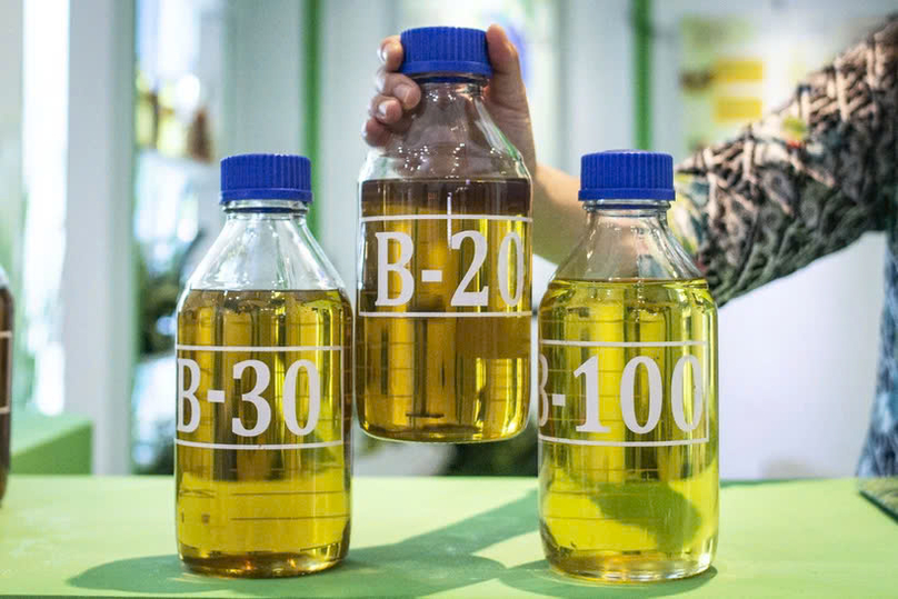  Some kinds of biodiesel in Indonesia. Photo courtesy of Antara.