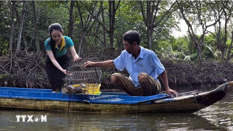 A tourist catches crabs when visiting a community-based tourist site in Dat Mui commune, Ngoc Hien district, Ca Mau province. Photo courtesy of Vietnam News Agency.