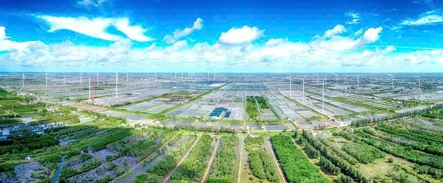  A wind power farm in Bac Lieu province, southern Vietnam. Photo courtesy of Vietnam News Agency.