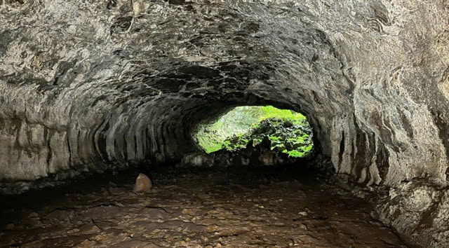 The new cave is quite wide with a flat floor and sturdy ceiling. Photo courtesy of daknong.gov.vn