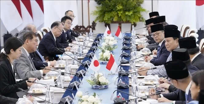 At the talks between Japanese Prime Minister Ishiba Shigeru and Indonesian President Prabowo Subianto on January 11, 2024. Photo courtesy of Kyodo/VNA.