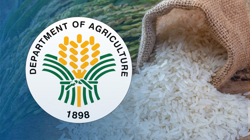 The Philippines imported 4.7 million tons of rice in 2024, a 2.2% increase from previous estimates. Photo courtesy of inquirer.net.