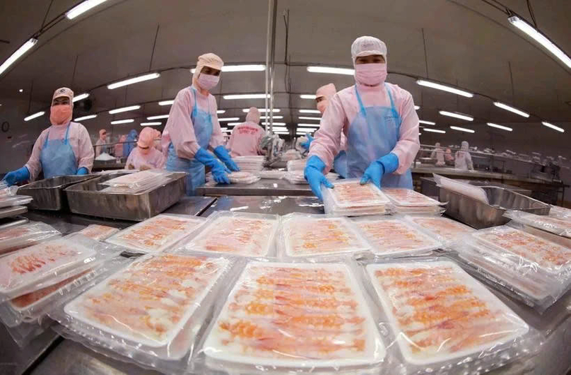  Workers process shrimp for export. Shrimp generated $300 million in revenue, accounting for 39% of the total export in January. Photo courtesy of VNA.