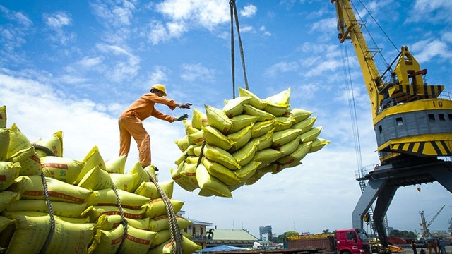 The average export price for rice in Jan-Feb 2025 was $553.60 per ton, down 18.3% year-on-year. Photo courtesy of the government's news portal.