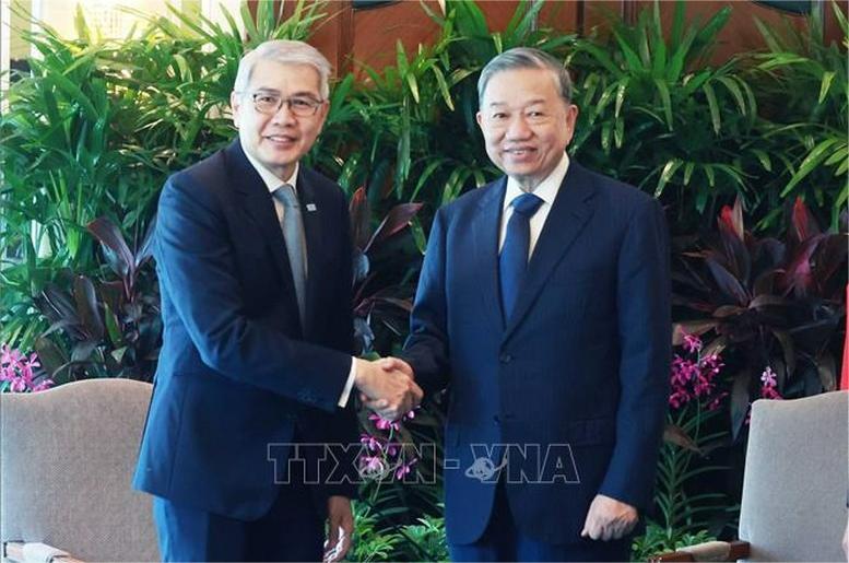 Vietnam's Party chief To Lam receives Lim Ming Yan, chairman of the Singapore Business Federation (SBF) in Singapore, March 11, 2025. Photo courtesy of the Vietnamese government's news portal.