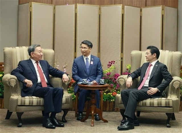 Vietnam's Party General Secretary To Lam (left) and Singaporean Prime Minister Lawrence Wong hold a private meeting in Singapore, March 12, 2024. Photo courtesy of Vietnam News Agency.