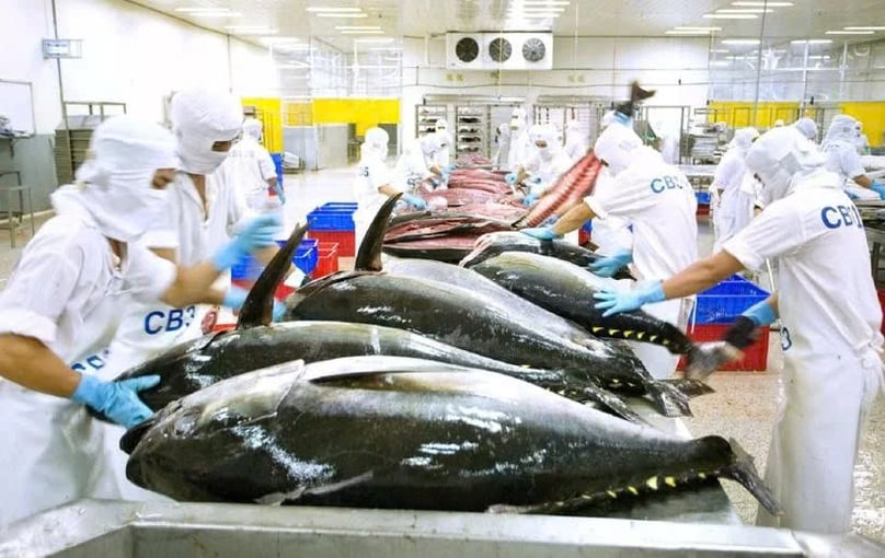 The 'yellow card' has impacted Vietnamese seafood exports to the European markets. Photo courtesy of sggp.org.vn.