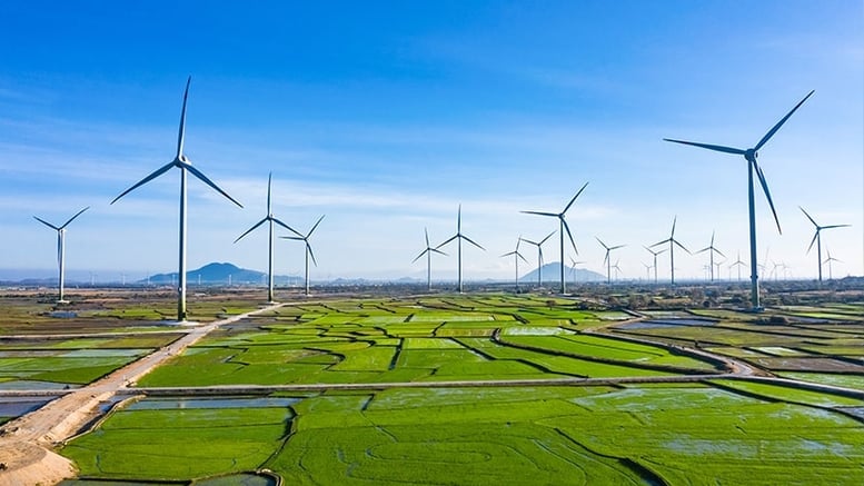 A wind power farm project in Vietnam. Photo courtesy of the government's news portal.