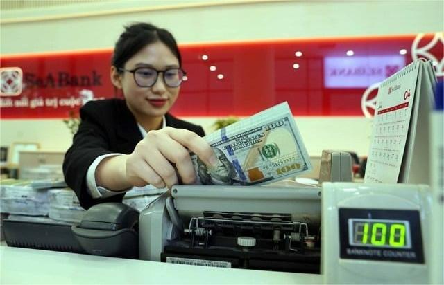 A clerk counts U.S. dollar bank notes at SeABank. Photo courtesy of Thanh Nien (Young People) newspaper.