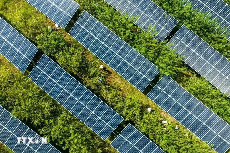 Solar panels. Photo courtesy of AFP/VNA.