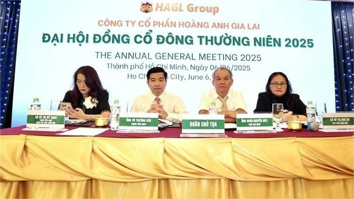 Hoang Anh Gia Lai's 2025 AMG of shareholders, held on June 6, 2025 in Ho Chi Minh City. Photo courtesy of the company.