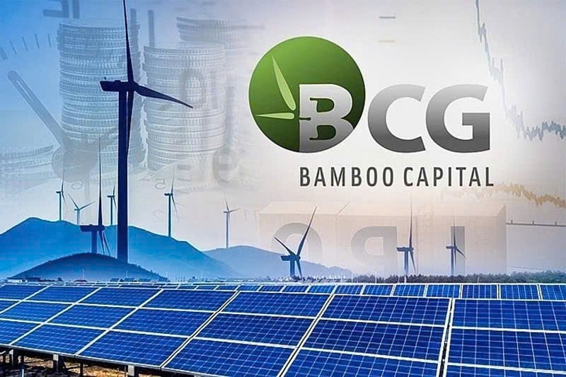 Illustration of Bamboo Capital's activities in the renewable energy sector.