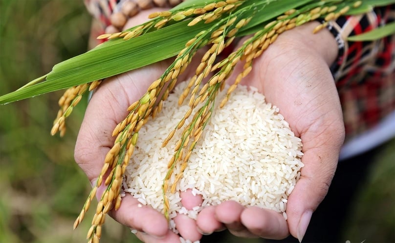 Vietnamese rice. Photo courtesy of VietNamNet.