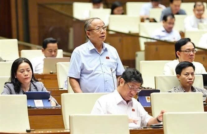 Parliament member Nguyen Van Than (Thai Binh province). Photo courtesy of VNA.