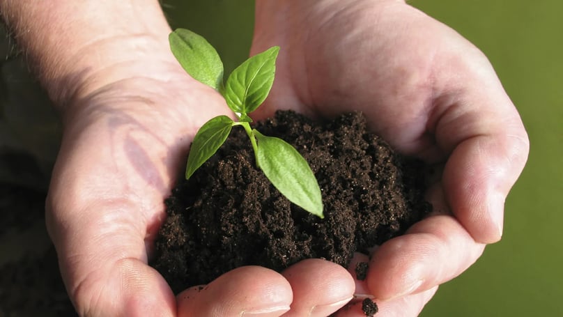 Chemical stocks have emerged as a bright spot following the Iran-Israel conflict, Photo courtesy of Landcare Research.