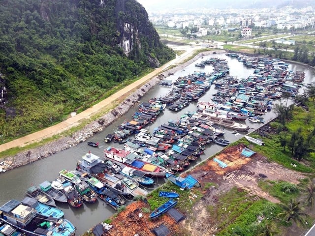 Fishing boats take shelter from the storm at Cai Rong Port in Van Don Special Zone, Quang Ninh province, northern Vietnam. Photo courtesy of VNA.