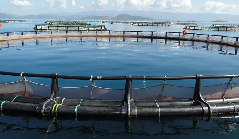  An aquaculture farm. Photo courtesy of aquafisheriesexpo.com