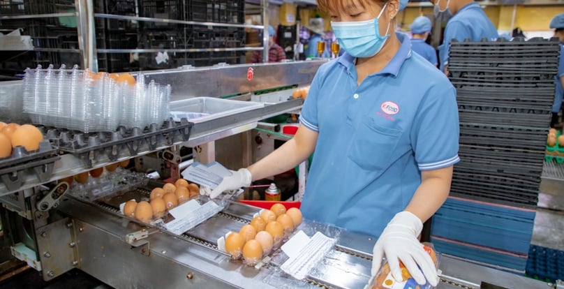  Inside a factory of Vinh Thanh Dat JSC. Photo courtesy of the company.