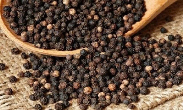 Vietnam earned $1.06 billion from pepper exports in the year to August 15, 2025. Photo courtesy of CafeF.
